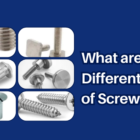 What are the Different Types of Screws?