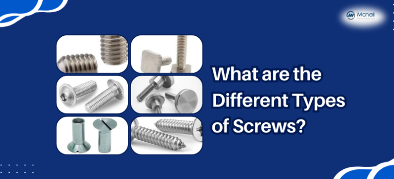 What are the Different Types of Screws?