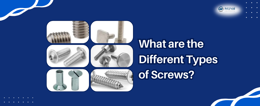 What are the Different Types of Screws?