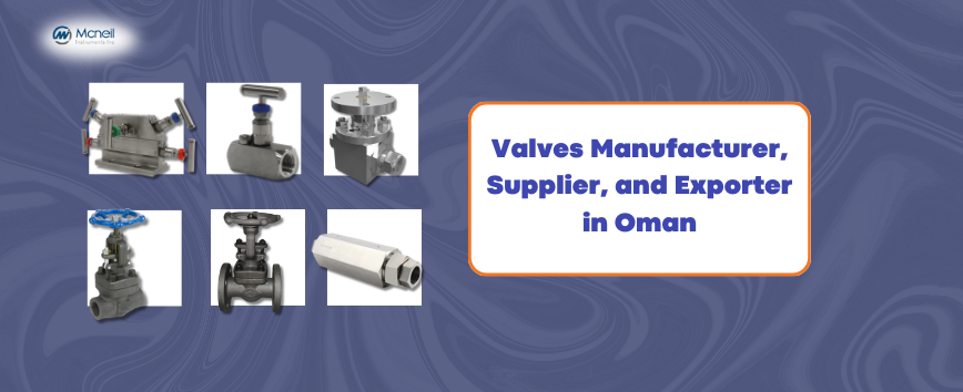 Valves Manufacturer, Supplier, and Exporter in Oman